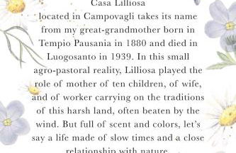 Casa Lilliosa - Foto 17