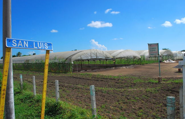 Villa in San Luis with garden and terrace - Foto 24
