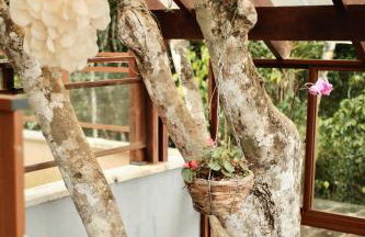 Casa da Árvore - Refúgio de Luxo com Jacuzzi e Vista para a Serra - Foto 6