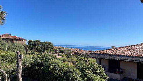 La tartaruga - Photo 2