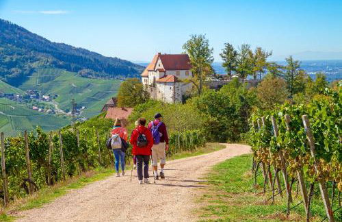 Ferienwohnung Elfriede - WLAN, 2 Bäder, Küche, Freisitz, 2 Parkplätze, im Ortskern - Foto 32