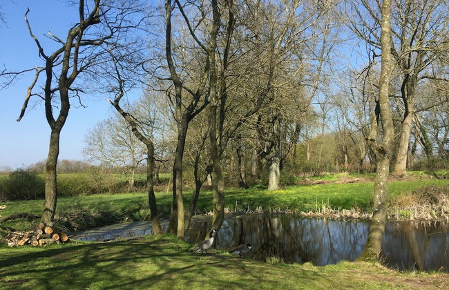 Gutshof Rothensande - Foto 45