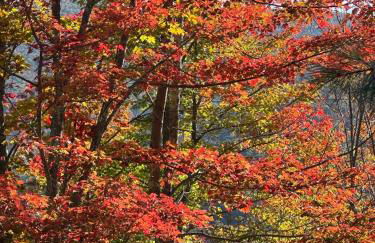 Mountain Retreat in the Catskills - Foto 26