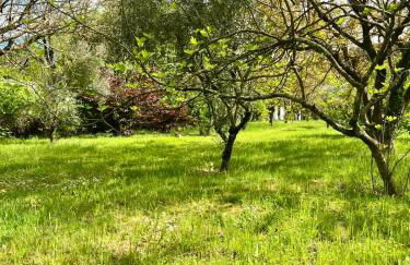 Villa Madeleine - Foto 6