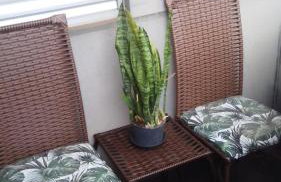 Max Savassi Glamour - Foto 42