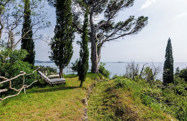 Color Apartments - Foto 73