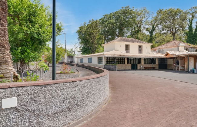 Quinta dos Abutitos in Santo Ant nio da Serra - Foto 1