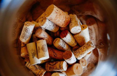 Holiday Home Medimurski Ceker - Foto 24