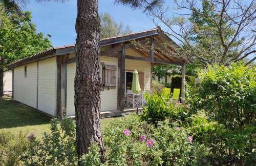 Chalet rénové, environnement très calme, piscines intérieure et extérieure chauffées, Bord du lac de Biscarosse Parentis - Foto 1