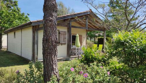 Chalet rénové, environnement très calme, piscines intérieure et extérieure chauffées, Bord du lac de Biscarosse Parentis - Foto 1, Garden, Garden view