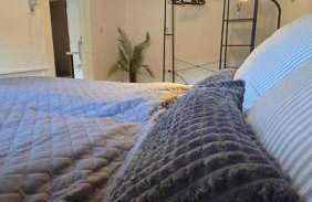 Denkmal Rhens - Foto 13