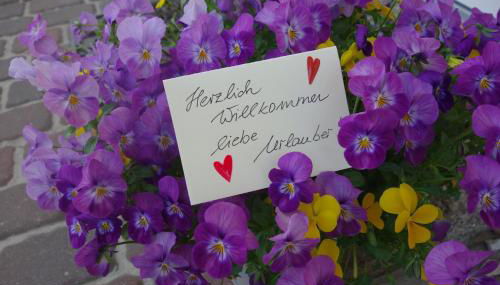 Ferienhaus Karlin - Foto 2