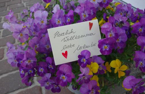 Ferienhaus Karlin - Foto 2