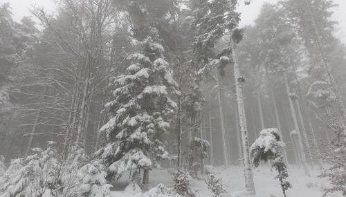 Au Pied du Gazon - Foto 3