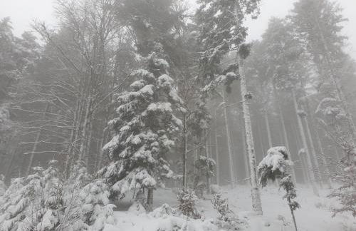 Au Pied du Gazon - Foto 3
