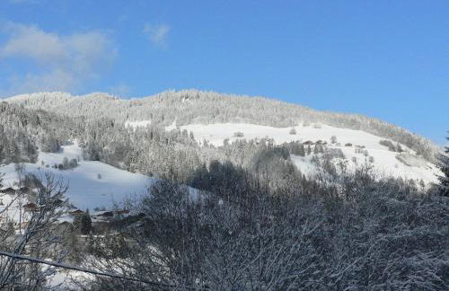 Petit chalet individuel de caractère - Foto 13