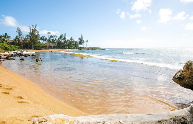 Kauai Hale Awapuhi By Coldwell Banker Island Vacations - Foto 49