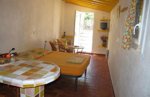 Location climatisée, piscine, animaux acceptés, jardin clôturé, parking, provence , wifi - Foto 16