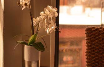 The Luxe Loft Knoxville - Foto 11