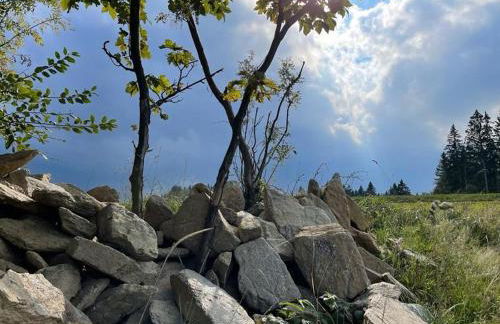 Ferienwohnung Sonnenhof - Foto 54