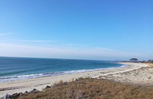 La Pomme de Mer - Foto 12