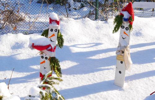 Jeżynowy Domek - Sulistrowice - Photo 30