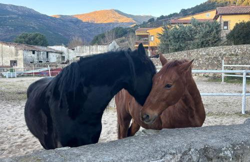 Espejo del Tiétar - La comodidad de baños en suite - Foto 79