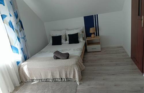 Noclegi U Janusza - Bieszczady - Photo 37