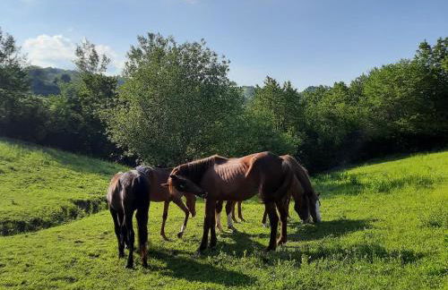 Agriturismo Antica Corte - Foto 20