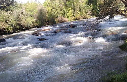 Cabana Pequeno Bosque som dás Águas - Foto 65