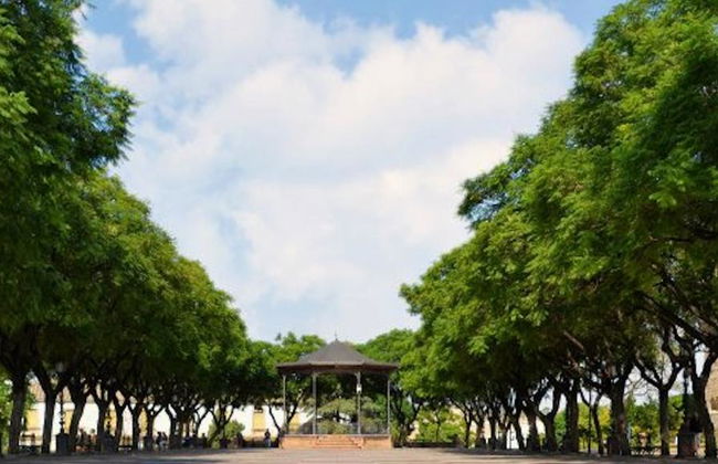 Guided Tour - Jerez historical center, horse show and winery visit - Photo 1