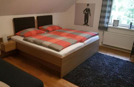 Große Ferienwohnung, auf Bauernhof mit Ponys und Pferden, ländlich und ruhig, Nähe Dümmer See - Photo 8