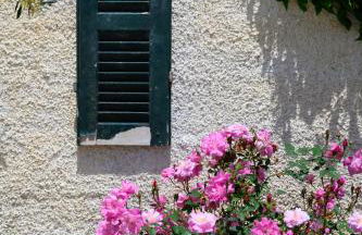 Harmony Corfu Apartments & Studios - Foto 43