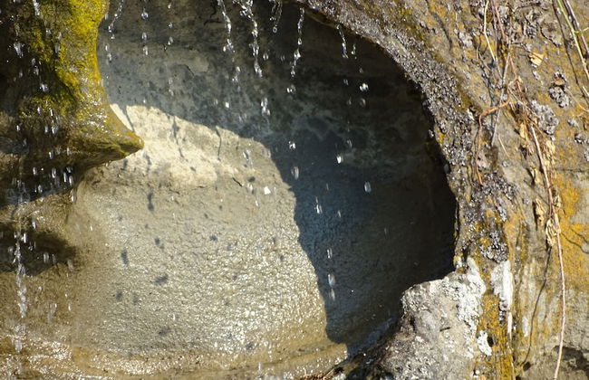 Suite at Trails End Beach House - Photo 39