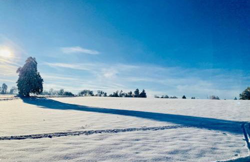 B71 - Appartement im Herzen des Schwarzwalds - Foto 18