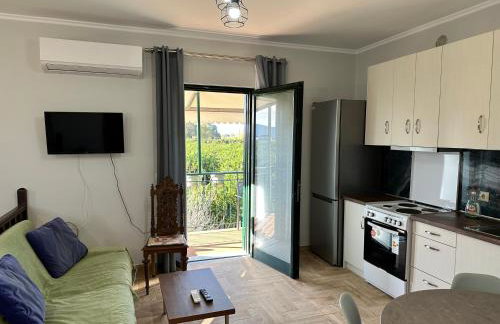 Orange Lemon Garden - Foto 26