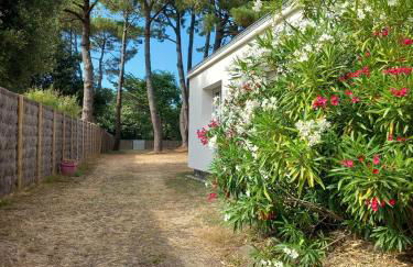 Maison des Pins - Foto 4