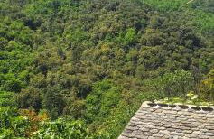 Gîte de Combelebouze en Cévennes - Cosy, Confort et Climatisé - 3 étoiles - Foto 14