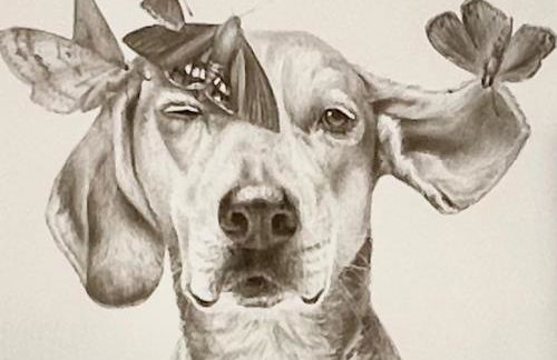 Monte Carlo Monaco border, hypercenter, familly friendly - Foto 34