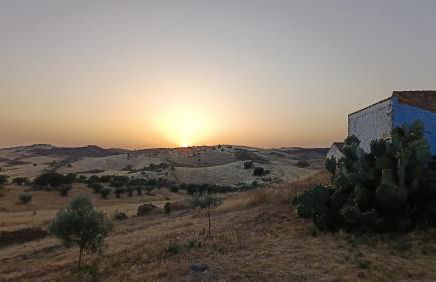 Monte Costa Raiz - Foto 19