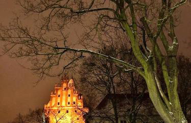 LOFT 57 CENTRUM - Foto 48