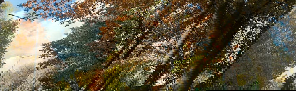 Terrenos do alojamento