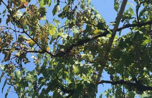 Holiday Home Sea view - Foto 22