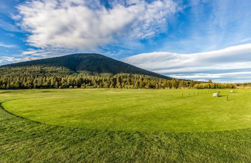 Forest Escape - GM 428 - Foto 7