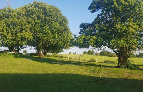 accommodation à la ferme - Foto 12