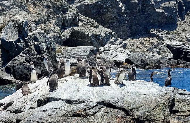 Excursion sur l'île de Damas - Photo 2