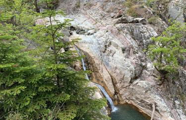 Konstantakos Michail - Photo 14