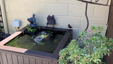 No. 5 Smith Cottages - Foto 4