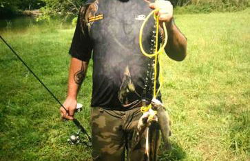 Beautiful Secluded Log Cabin - Foto 28