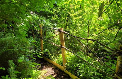 Tan y coed's Rosemary Cabin - Photo 16